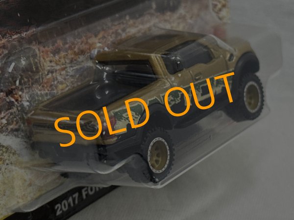 画像4: 2017. FORD F-150 RAPTOR (4)