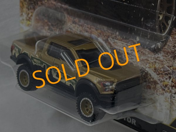 画像3: 2017. FORD F-150 RAPTOR (3)