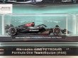 画像2: Mercedes-AMG PETRONAS Formula One Team/Équipe (#44) (2)