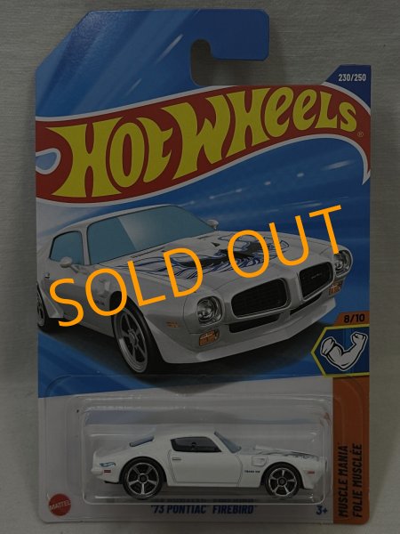 画像1: '73 PONTIAC FIREBIRD (1)