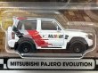 画像2: MITSUBISHI PAJERO EVOLUTION (2)