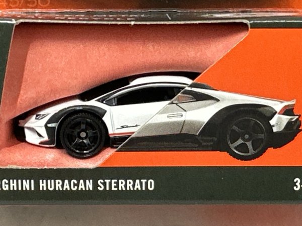 画像2: LAMBORGHINI HURACAN STERRATO (2)