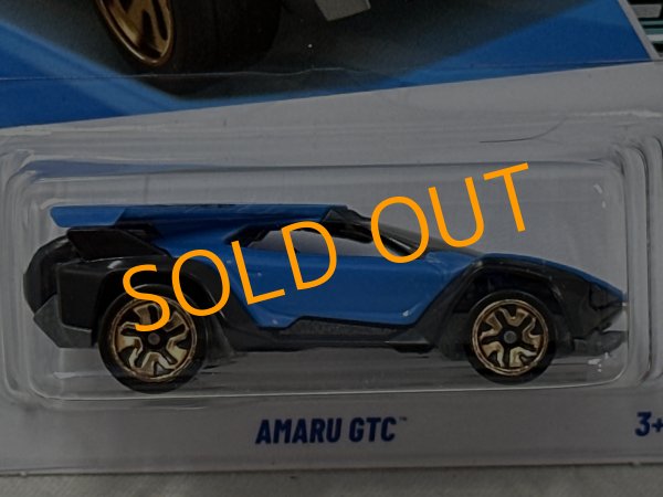 画像2: AMARU GTC (2)