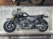 画像2: 2024 TRIUMPH SCRAMBLER (2)