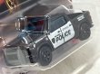 画像3: 2024 CHEVROLET SILVERADO PPV TRUCK (3)